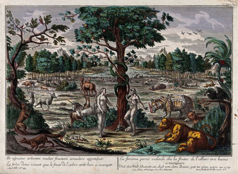 In_the_Garden_of_Eden,_while_the_serpent_curls_around_the_tr_Wellcome_V0034184