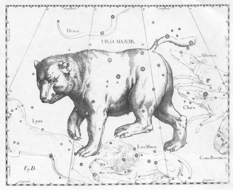 Ursa_Major_constellation_JohannesHevelius